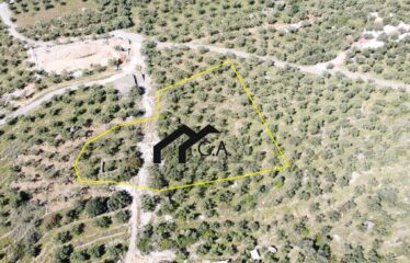 Γεωτεμάχιο εμβαδού 4.211 τ.μ με άδεια δόμησης σε ισχύ, στην Βέργα Μεσσηνίας πλησίον Καλαμάτας | 290.000€ |