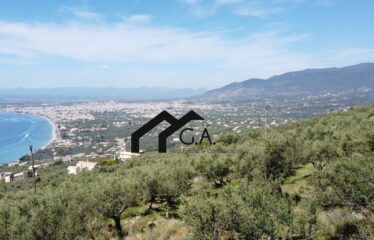 Γεωτεμάχιο εμβαδού 4.211 τ.μ με άδεια δόμησης σε ισχύ, στην Βέργα Μεσσηνίας πλησίον Καλαμάτας | 290.000€ |