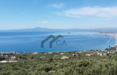 Γεωτεμάχιο εμβαδού 4.211 τ.μ με άδεια δόμησης σε ισχύ, στην Βέργα Μεσσηνίας πλησίον Καλαμάτας | 290.000€ |