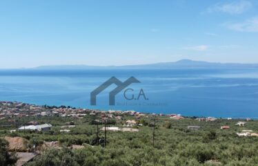 Γεωτεμάχιο εμβαδού 4.211 τ.μ με άδεια δόμησης σε ισχύ, στην Βέργα Μεσσηνίας πλησίον Καλαμάτας | 290.000€ |