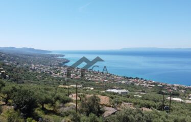 Γεωτεμάχιο εμβαδού 4.211 τ.μ με άδεια δόμησης σε ισχύ, στην Βέργα Μεσσηνίας πλησίον Καλαμάτας | 290.000€ |