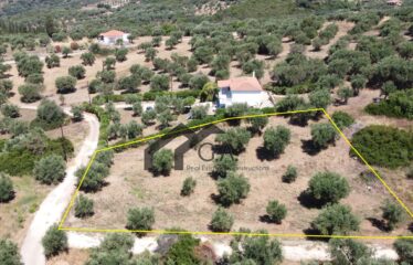 Γεωτεμάχιο 2.033 τ.μ., με άδεια δόμησης για ανέγερση τριών μονοκατοικιών 274,33 τ.μ. Λαχανάδα Μεσσηνίας | 250.000€ |