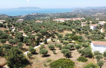 Γεωτεμάχιο 2.033 τ.μ., με άδεια δόμησης για ανέγερση τριών μονοκατοικιών 274,33 τ.μ. Λαχανάδα Μεσσηνίας | 250.000€ |