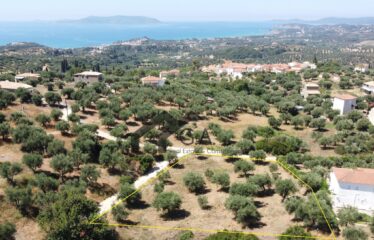 Γεωτεμάχιο 2.033 τ.μ., με άδεια δόμησης για ανέγερση τριών μονοκατοικιών 274,33 τ.μ. Λαχανάδα Μεσσηνίας | 250.000€ |