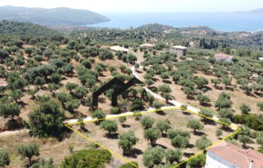 Γεωτεμάχιο 2.033 τ.μ., με άδεια δόμησης για ανέγερση τριών μονοκατοικιών 274,33 τ.μ. Λαχανάδα Μεσσηνίας | 250.000€ |