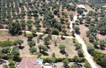 Γεωτεμάχιο 2.033 τ.μ., με άδεια δόμησης για ανέγερση τριών μονοκατοικιών 274,33 τ.μ. Λαχανάδα Μεσσηνίας | 250.000€ |