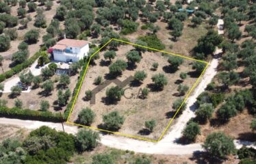 Γεωτεμάχιο 2.033 τ.μ., με άδεια δόμησης για ανέγερση τριών μονοκατοικιών 274,33 τ.μ. Λαχανάδα Μεσσηνίας | 250.000€ |