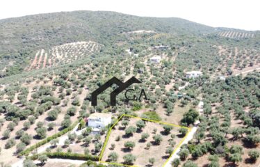 Γεωτεμάχιο 2.033 τ.μ., με άδεια δόμησης για ανέγερση τριών μονοκατοικιών 274,33 τ.μ. Λαχανάδα Μεσσηνίας | 250.000€ |