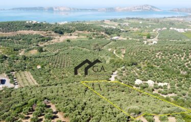 Γεωτεμάχιο 9.898 τ.μ, Σχινόλακα , Γιάλοβα Μεσσηνίας | 450.000€ |