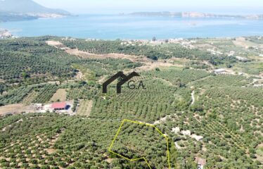 Γεωτεμάχιο 9.898 τ.μ, Σχινόλακα , Γιάλοβα Μεσσηνίας | 450.000€ |