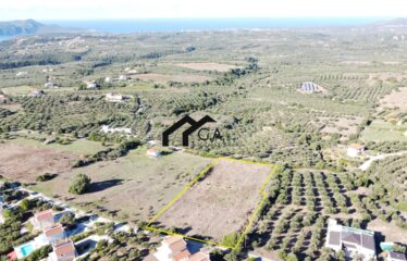 Γεωτεμάχιο 7.088 τ.μ. άρτιο και οικοδομήσιμο, Ευαγγελισμός Μεσσηνίας | 350.000€ |