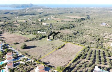 Γεωτεμάχιο 7.088 τ.μ. άρτιο και οικοδομήσιμο, Ευαγγελισμός Μεσσηνίας | 350.000€ |